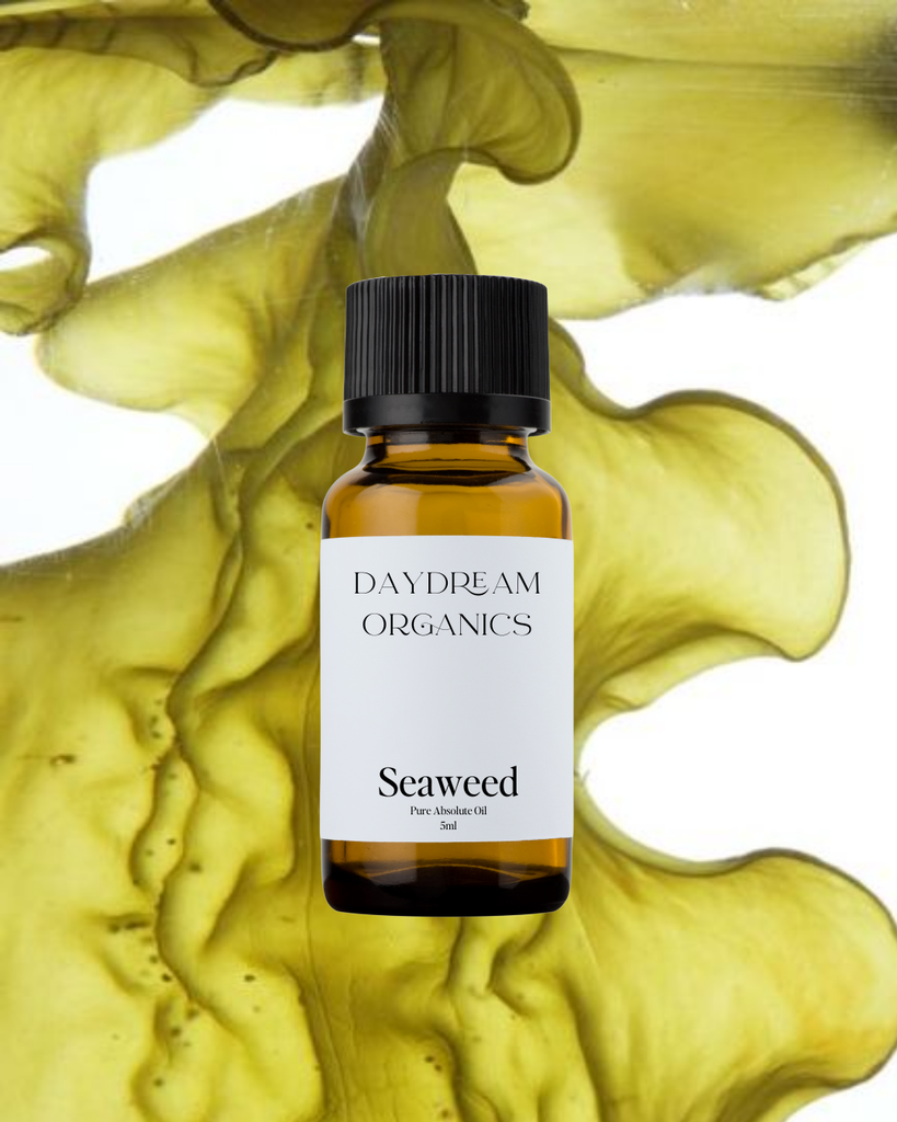 Seaweed Absolute Oil Daydream