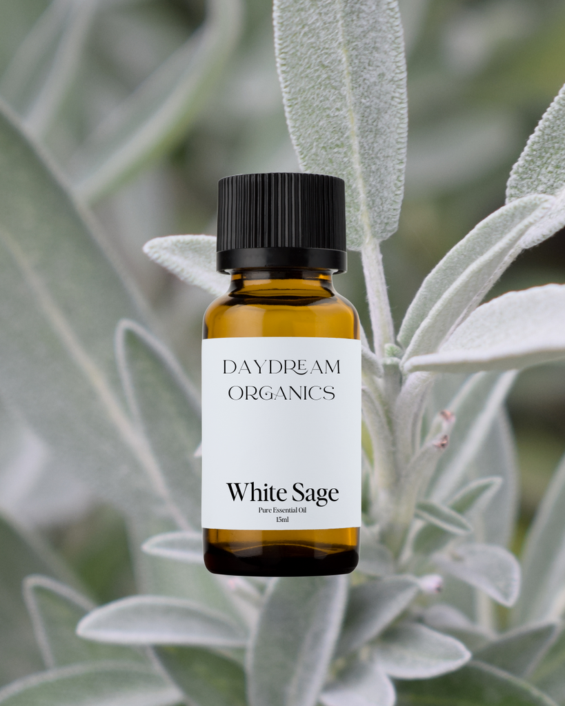 White Sage Essential Oil Daydream