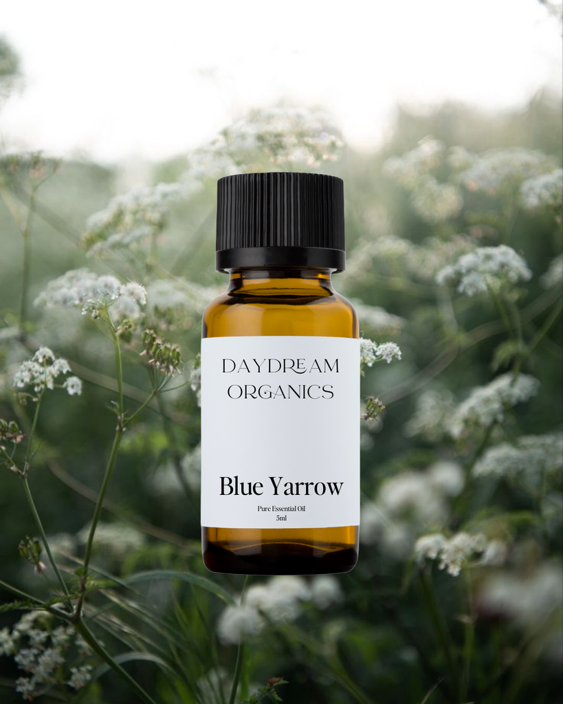 Yarrow (Blue) Essential Oil Daydream