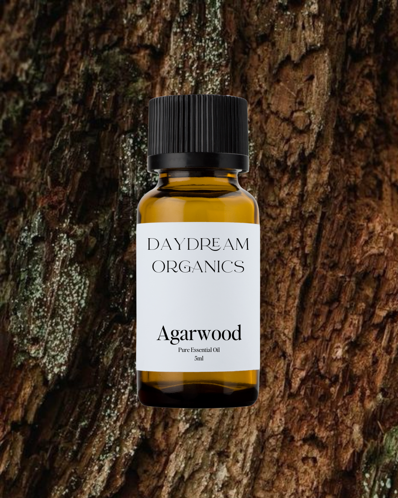 Agarwood (Oud) Essential Oil Daydream