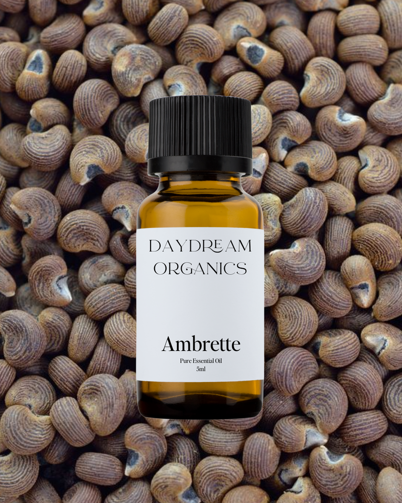 Ambrette Seed Essential Oil Daydream