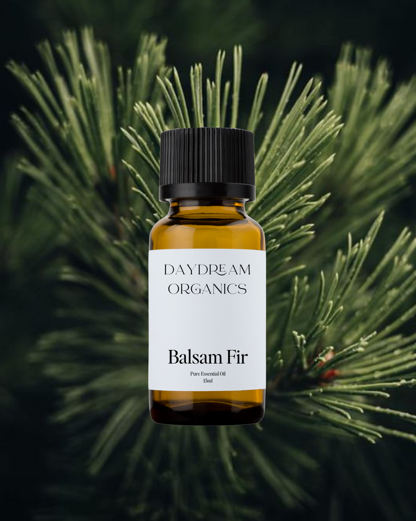 Balsam Fir Essential Oil Daydream