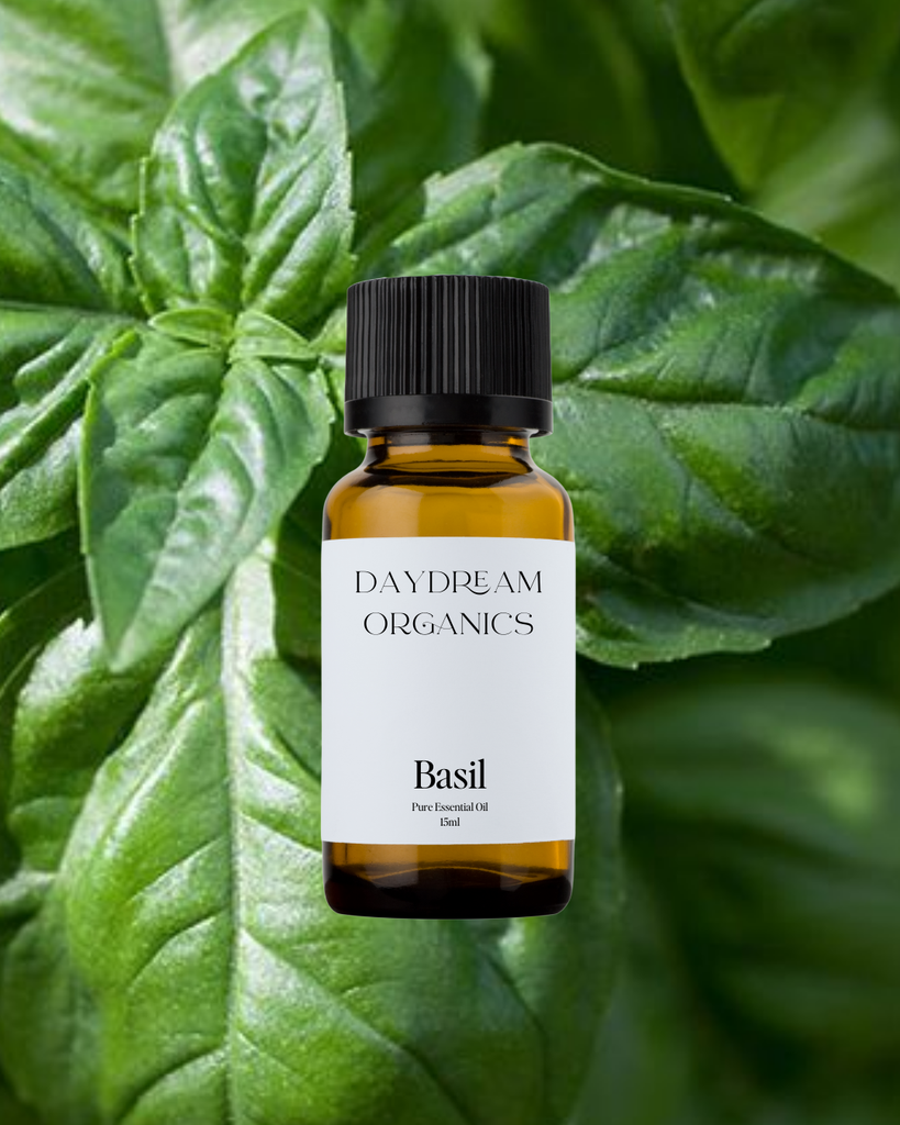 Basil Essential Oil Daydream