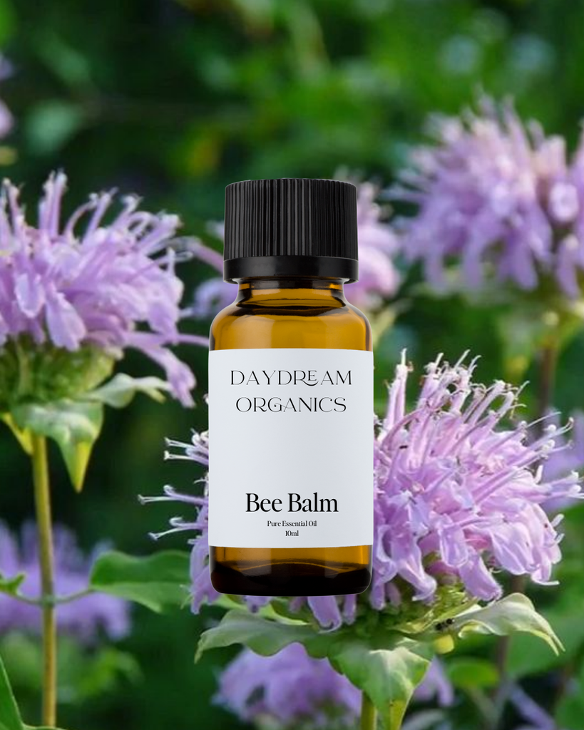 Bee Balm Essential Oil Daydream
