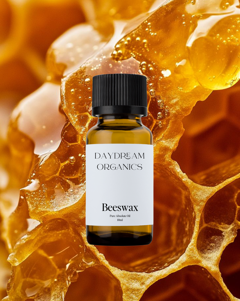 Beeswax Absolute Oil Daydream