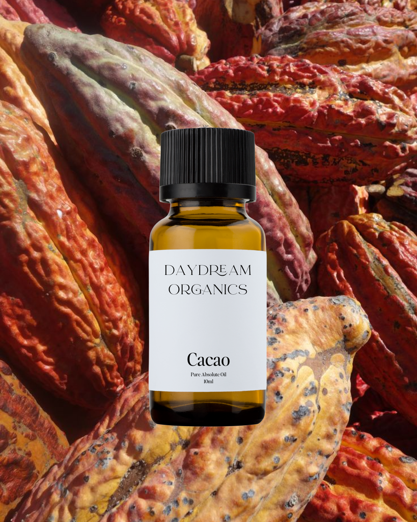 Cacao Absolute Oil Daydream