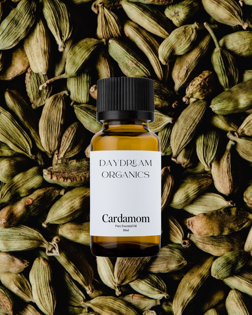 Cardamom Essential Oil Daydream