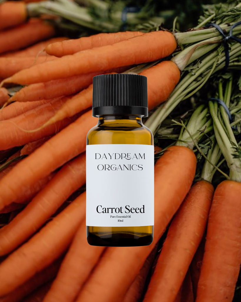 Carrot Seed Essential Oil Daydream