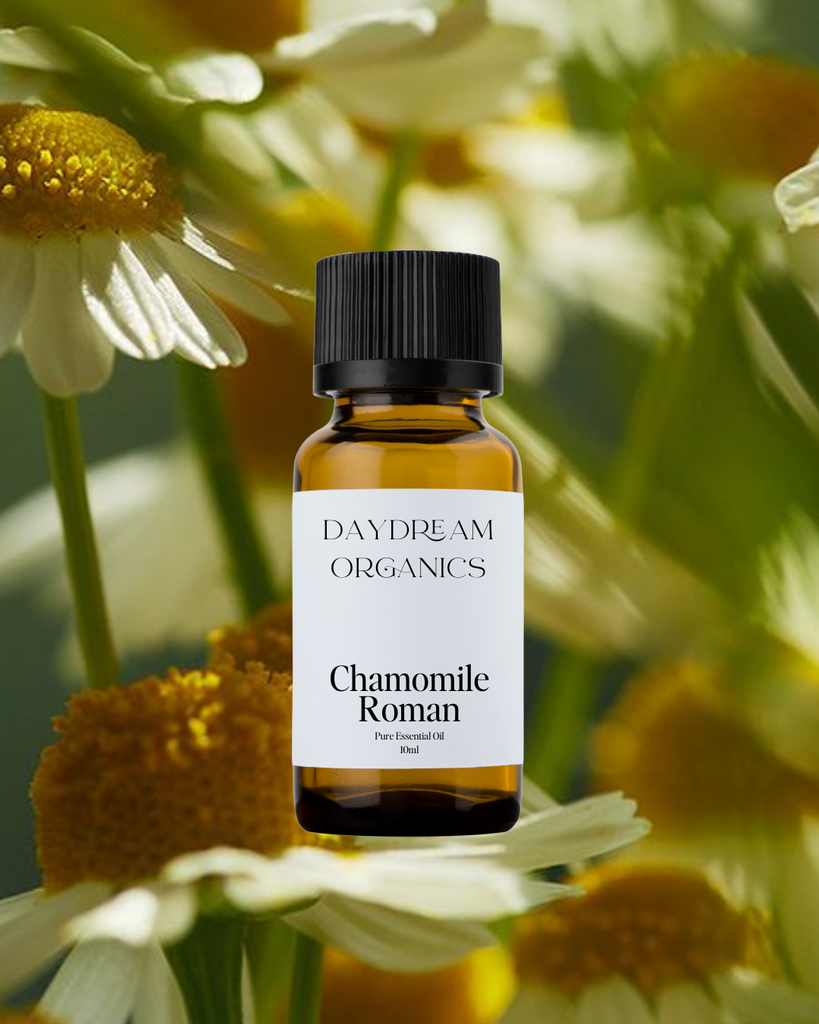 Chamomile Roman Essential Oil Daydream