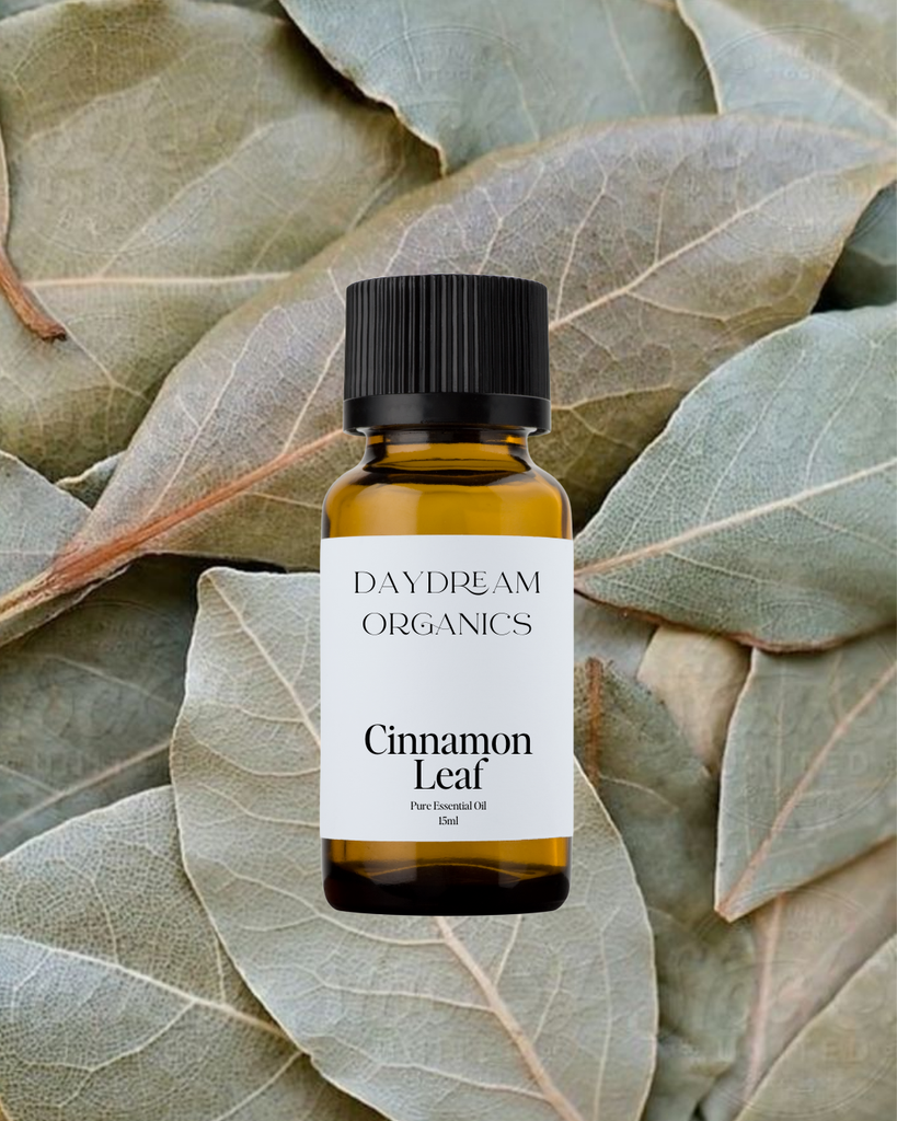 Cinnamon Leaf Essential Oil Daydream