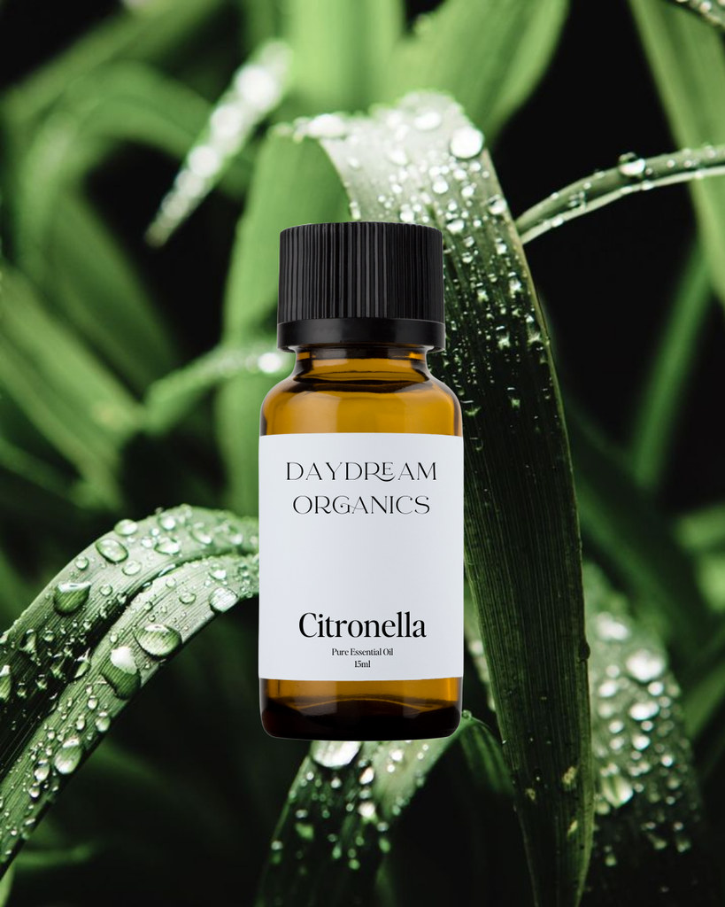 Citronella Essential Oil Daydream