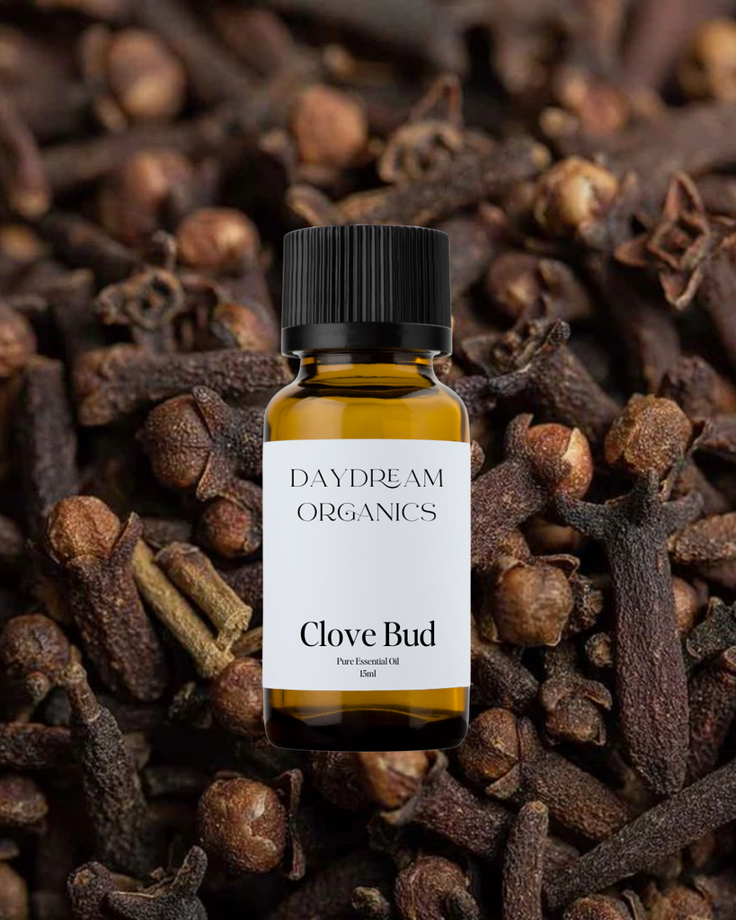 Clove Bud Essential Oil Daydream