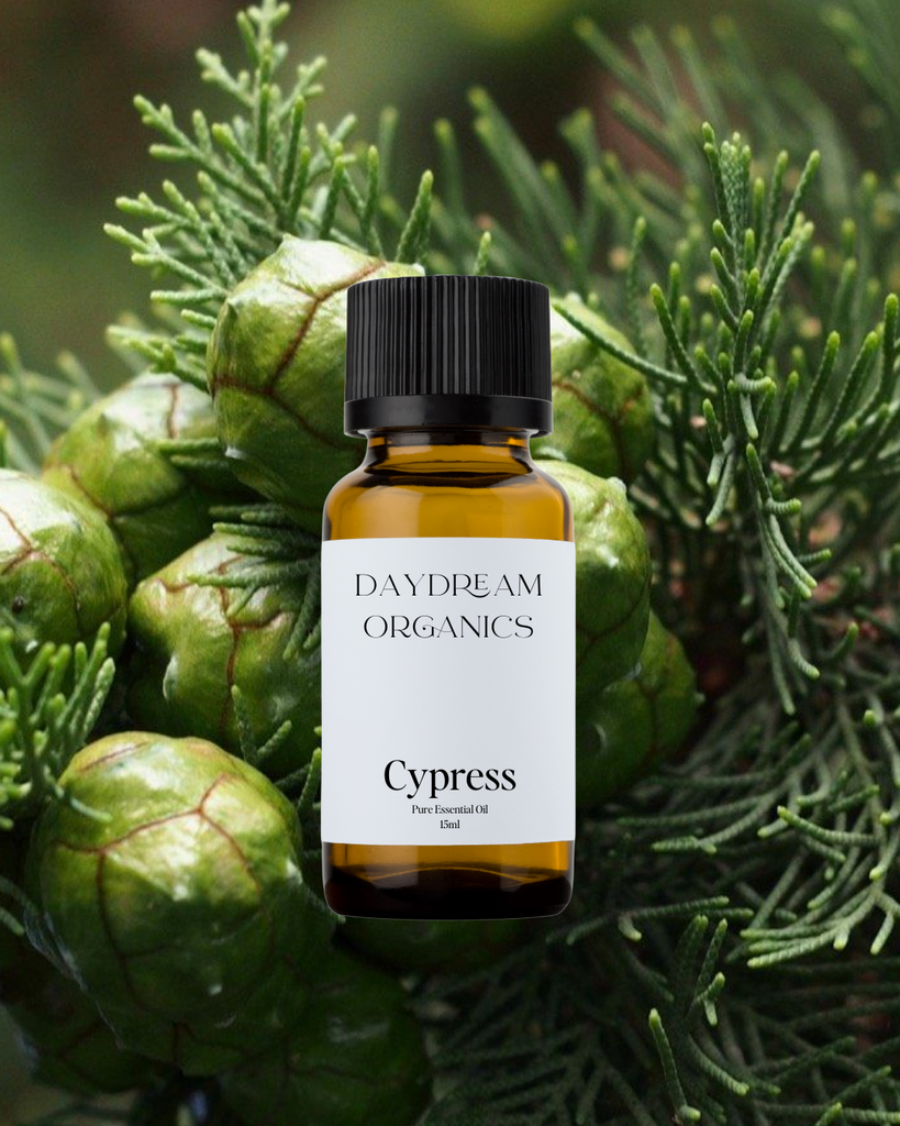 Cypress Essential Oil Daydream