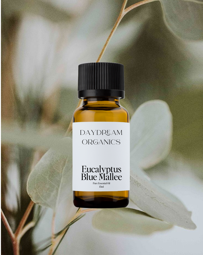 Eucalyptus Blue Mallee Essential Oil Daydream