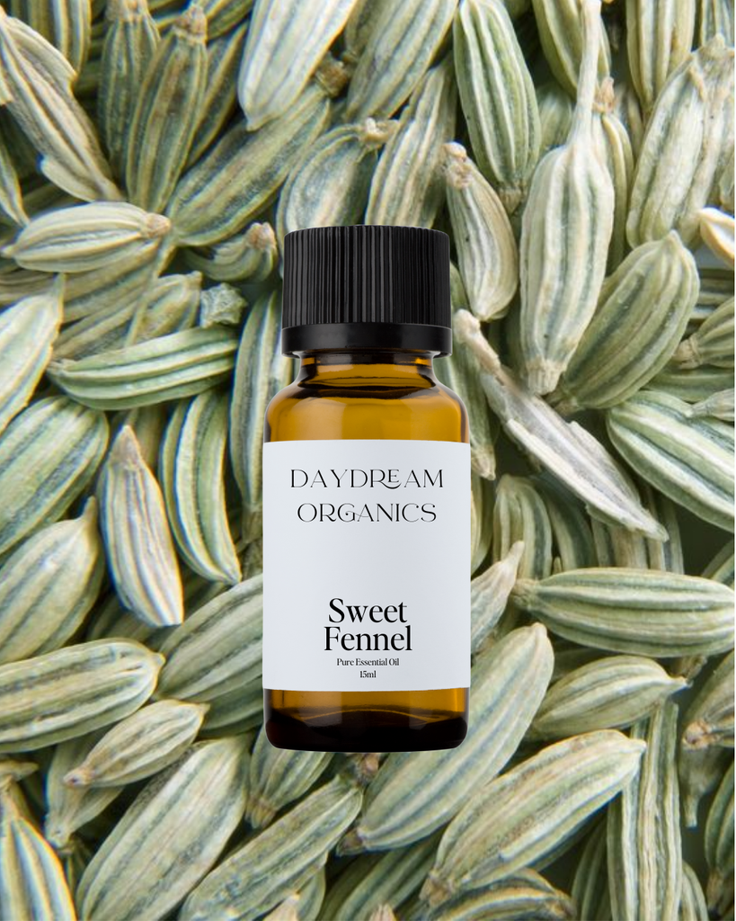 Sweet Fennel Essential Oil Daydream