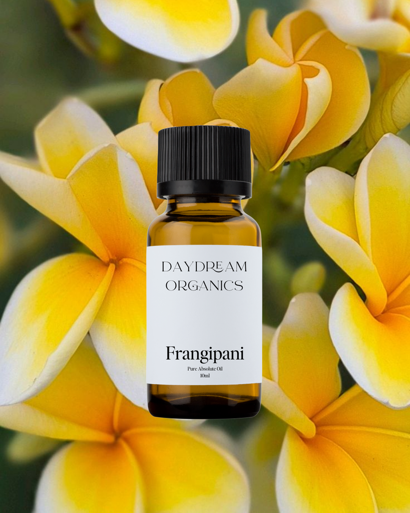 Frangipani Absolute Oil Daydream