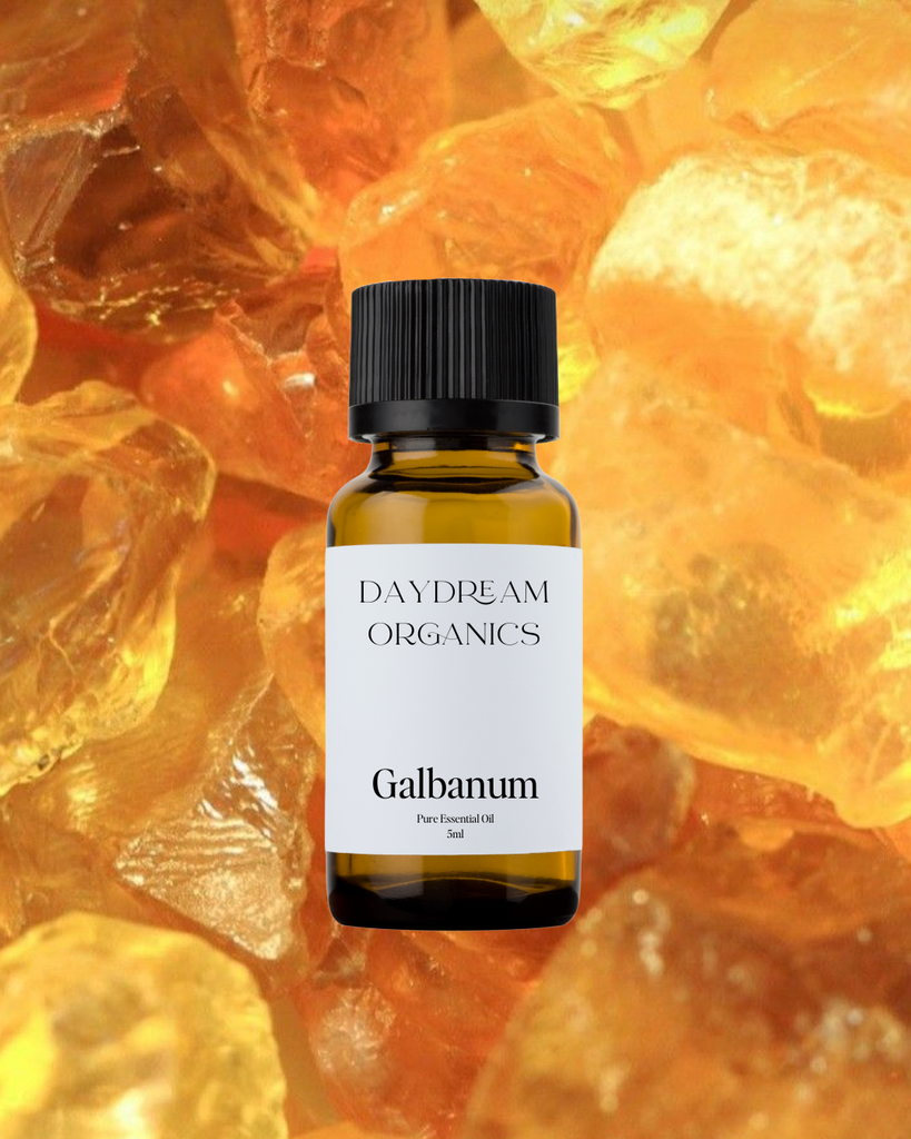 Galbanum Essential Oil Daydream