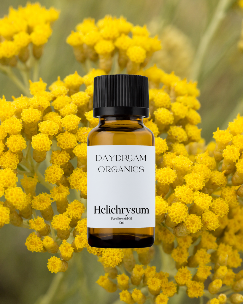 Helichrysum Essential Oil Daydream