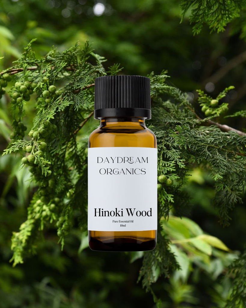 Hinoki Wood Essential Oil Daydream