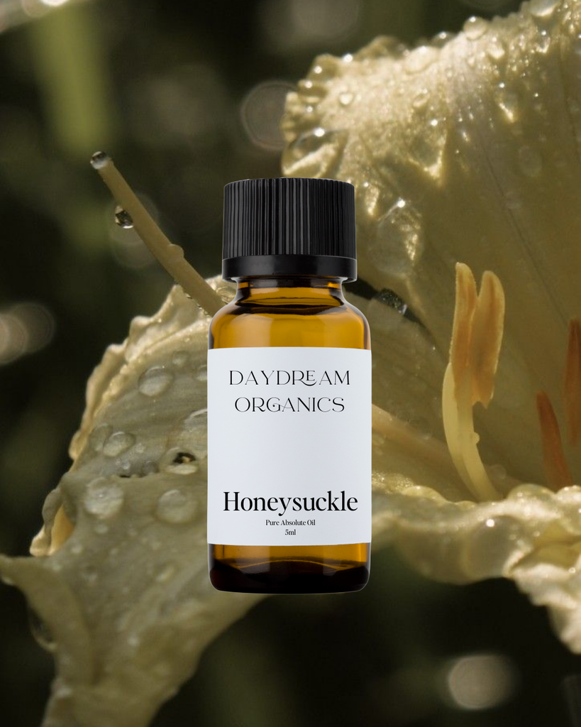 Honeysuckle Absolute Oil Daydream