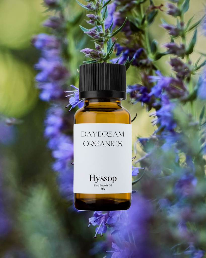 Hyssop Essential Oil Daydream