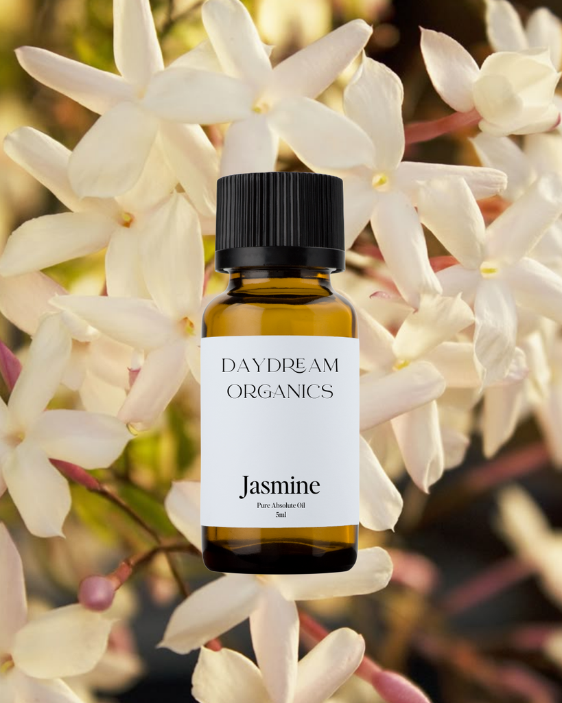 Jasmine Absolute Oil Daydream