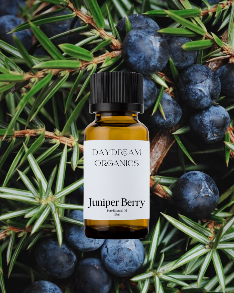 Juniper Berry Essential Oil Daydream