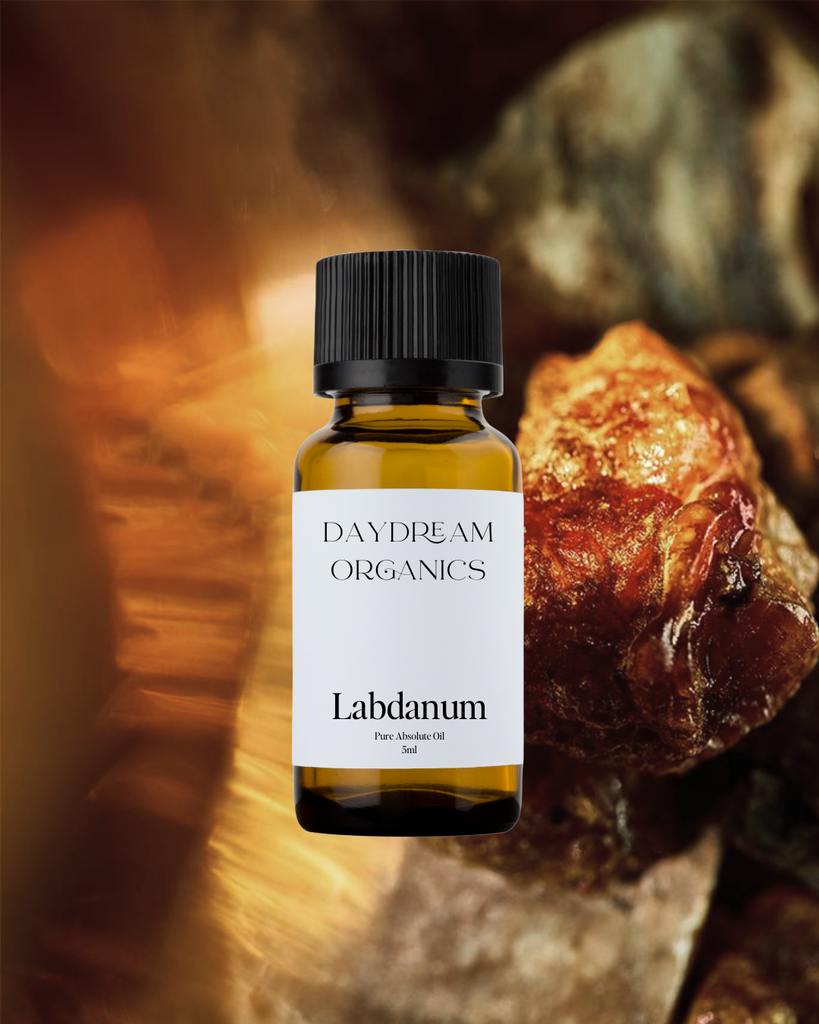 Labdanum Absolute Oil Daydream