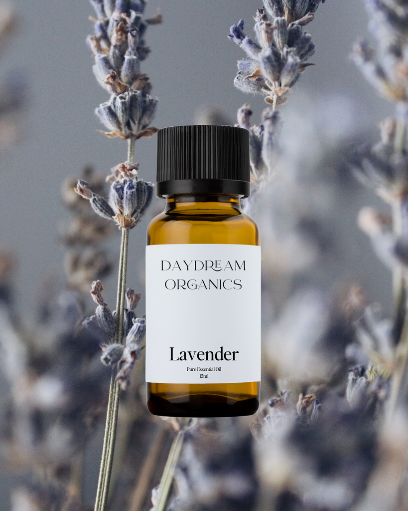 Lavender Essential Oil Daydream