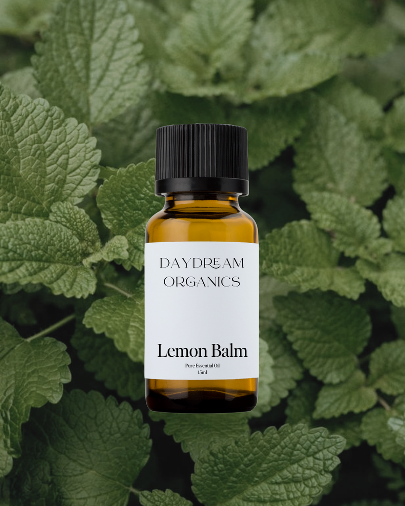 Lemon Balm Melissa Essential Oil Daydream
