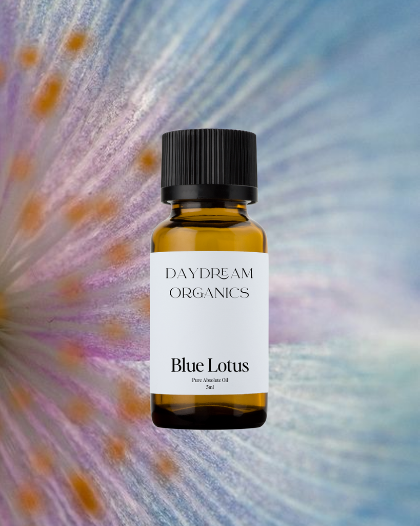 Lotus Blue Absolute Essential Oil Daydream