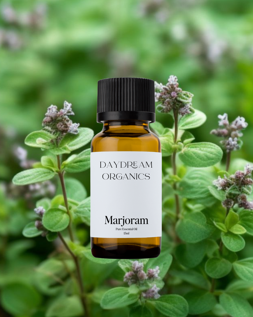 Marjoram Essential Oil Daydream