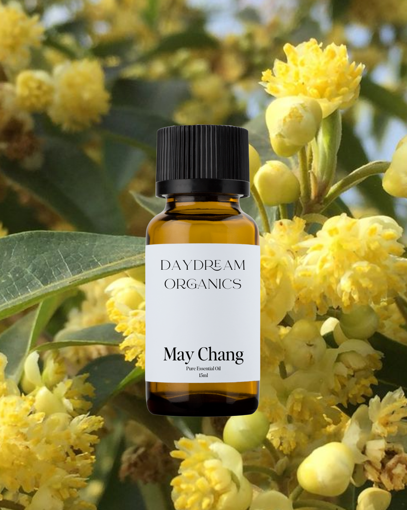 May Chang Essential Oil Daydream