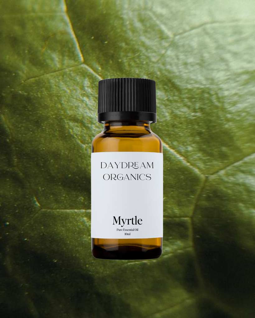 Myrtle Essential Oil Daydream