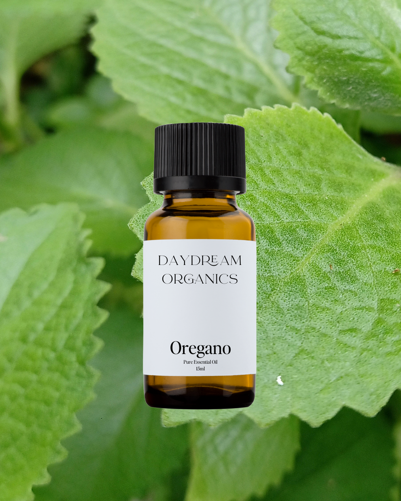Oregano Essential Oil Daydream