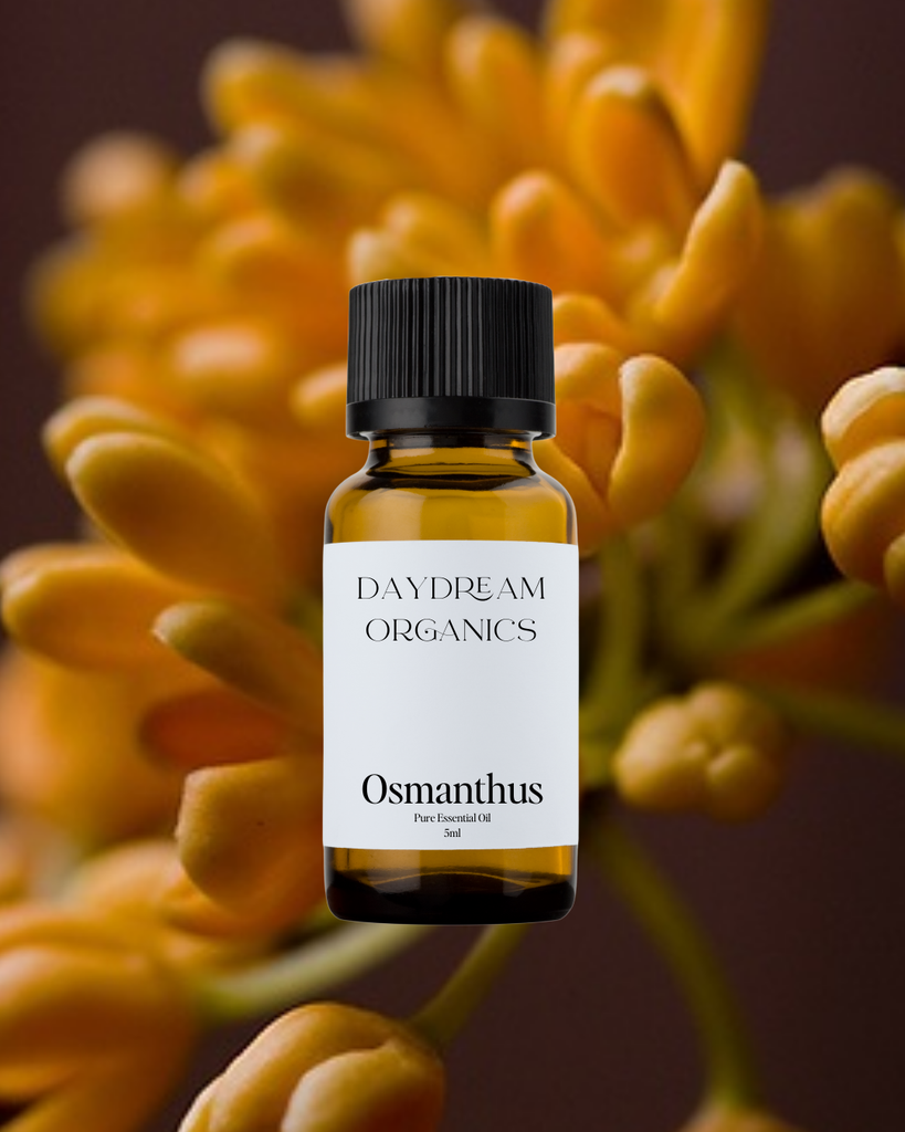 Osmanthus Essential Oil Daydream