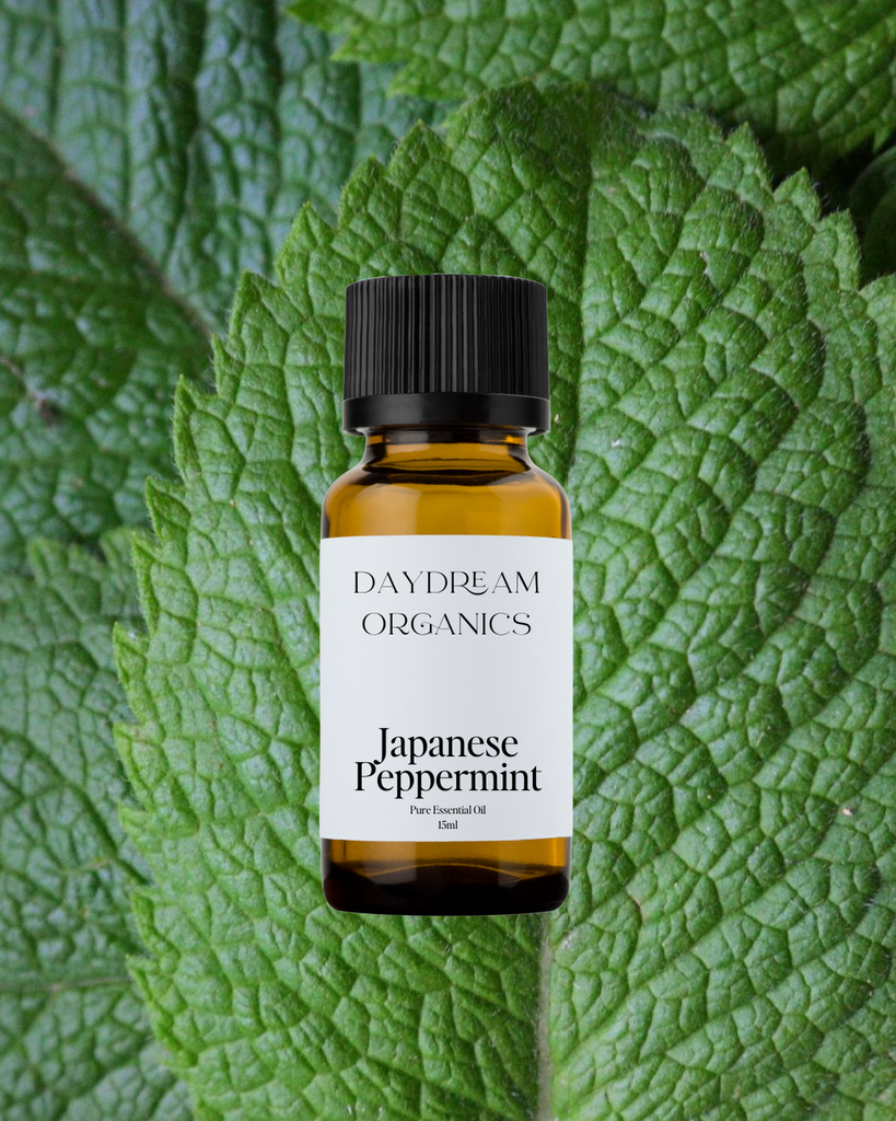 Peppermint (Japanese)  Essential Oil Daydream