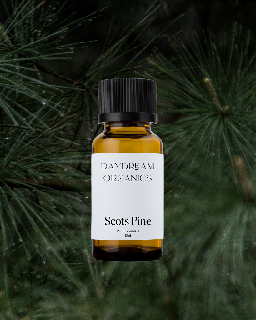 Pine (Scots) Essential Oil Daydream