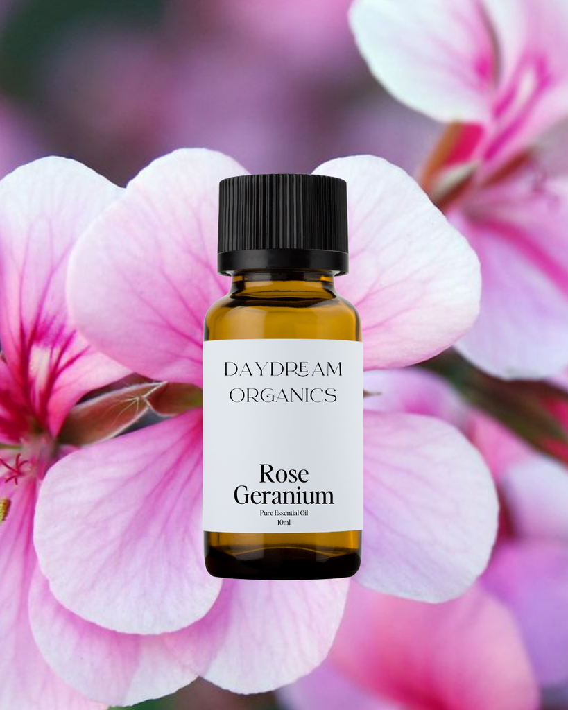 Rose Geranium Essential Oil Daydream