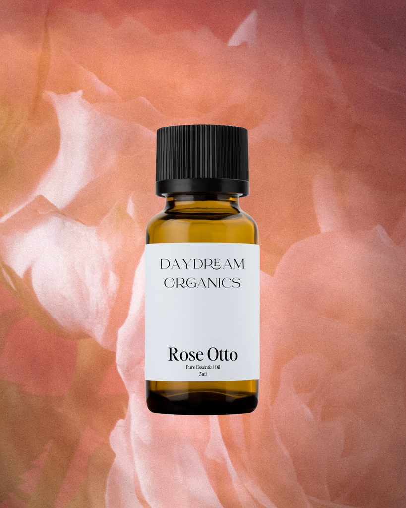 Rose Otto Essential Oil Daydream