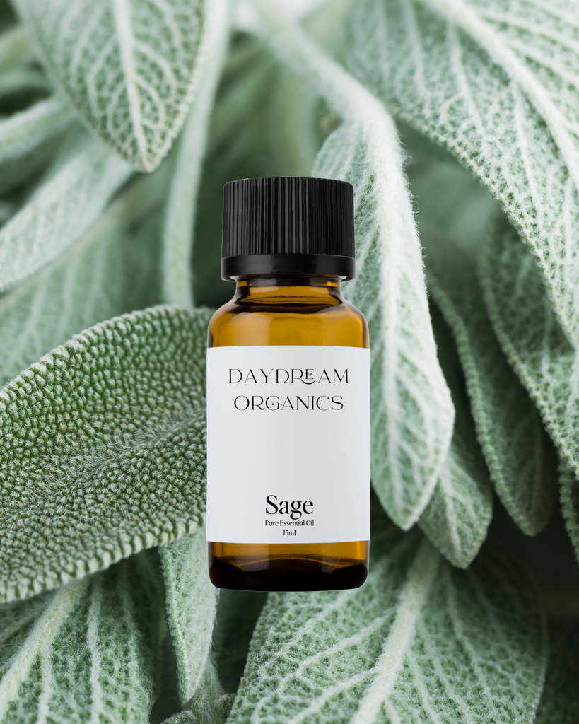 Sage Essential Oil Daydream
