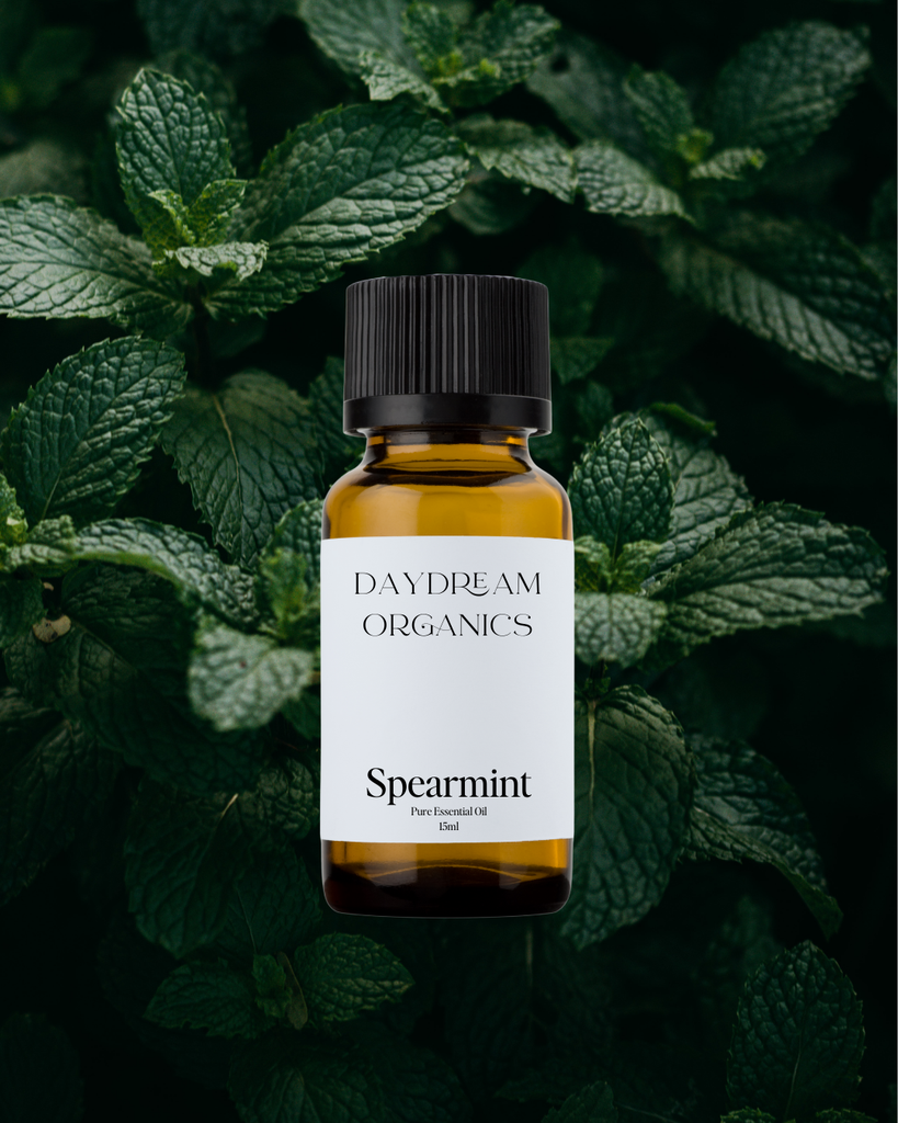 Spearmint Essential Oil Daydream