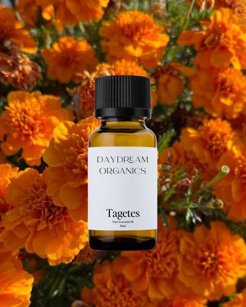 Tagetes Essential Oil Daydream