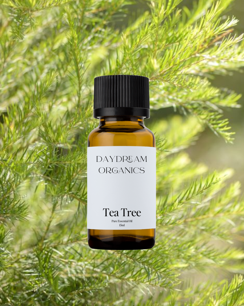 Tea Tree Australia Essential Oil Daydream