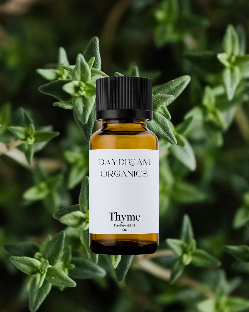 Thyme Essential Oil Daydream