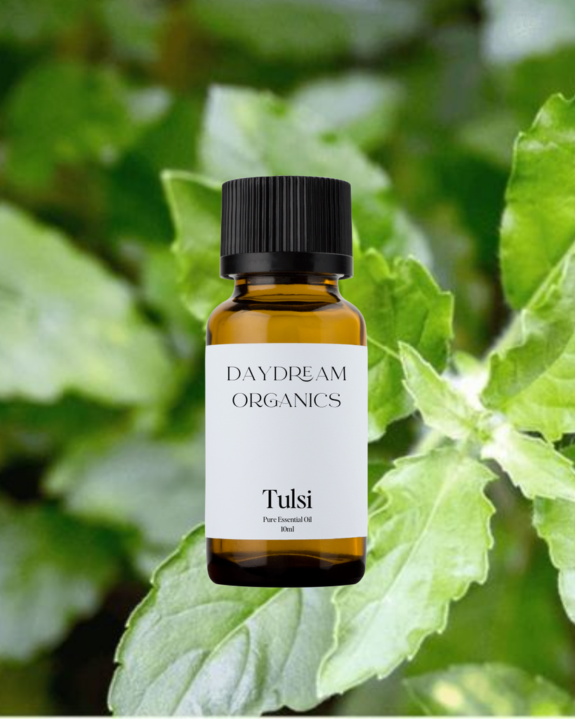 Tulsi Essential Oil Daydream