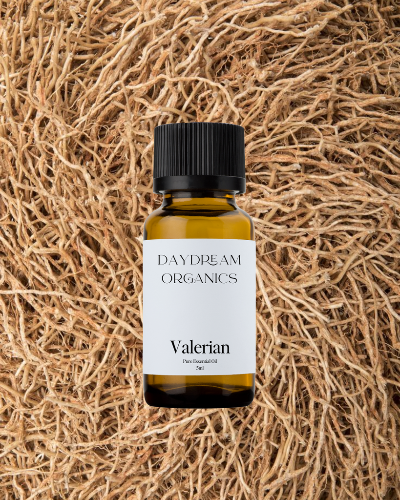 Valerian Essential Oil Daydream