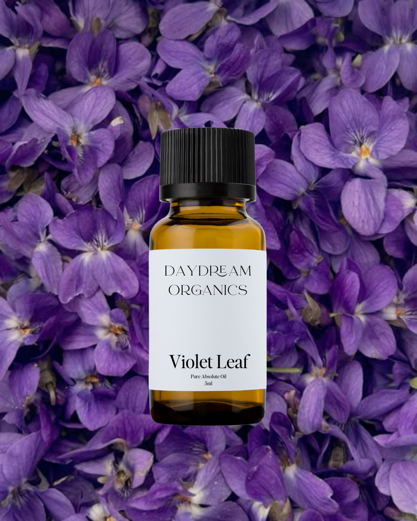 Violet Leaf Absolute Oil Daydream
