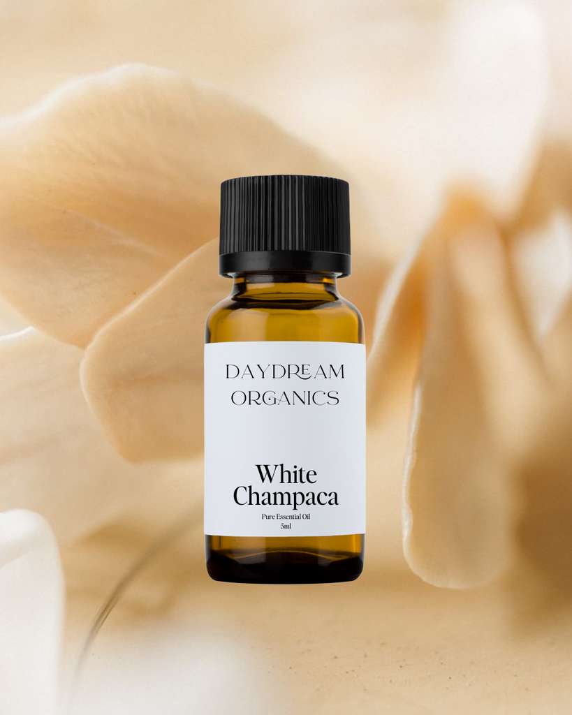 White Champaca Essential Oil Daydream