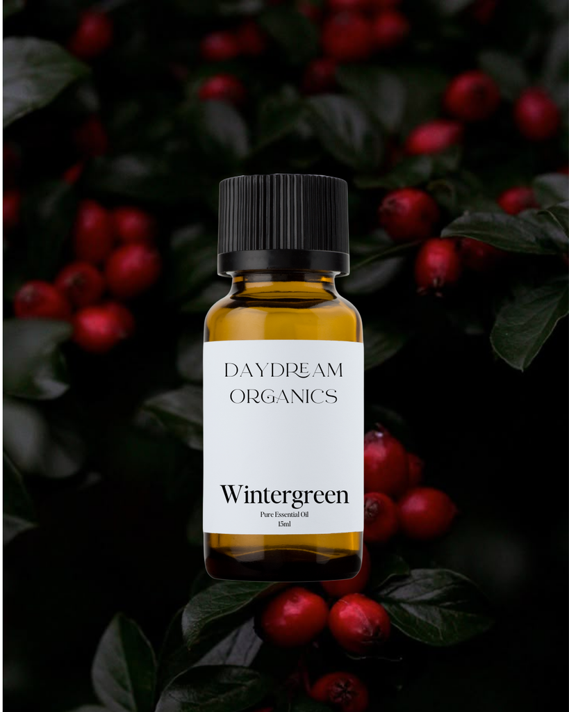 Wintergreen Essential Oil Daydream